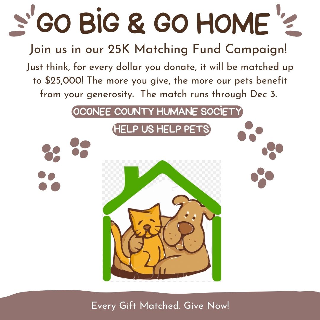 Oconee Go Big & Go Home giving campaign