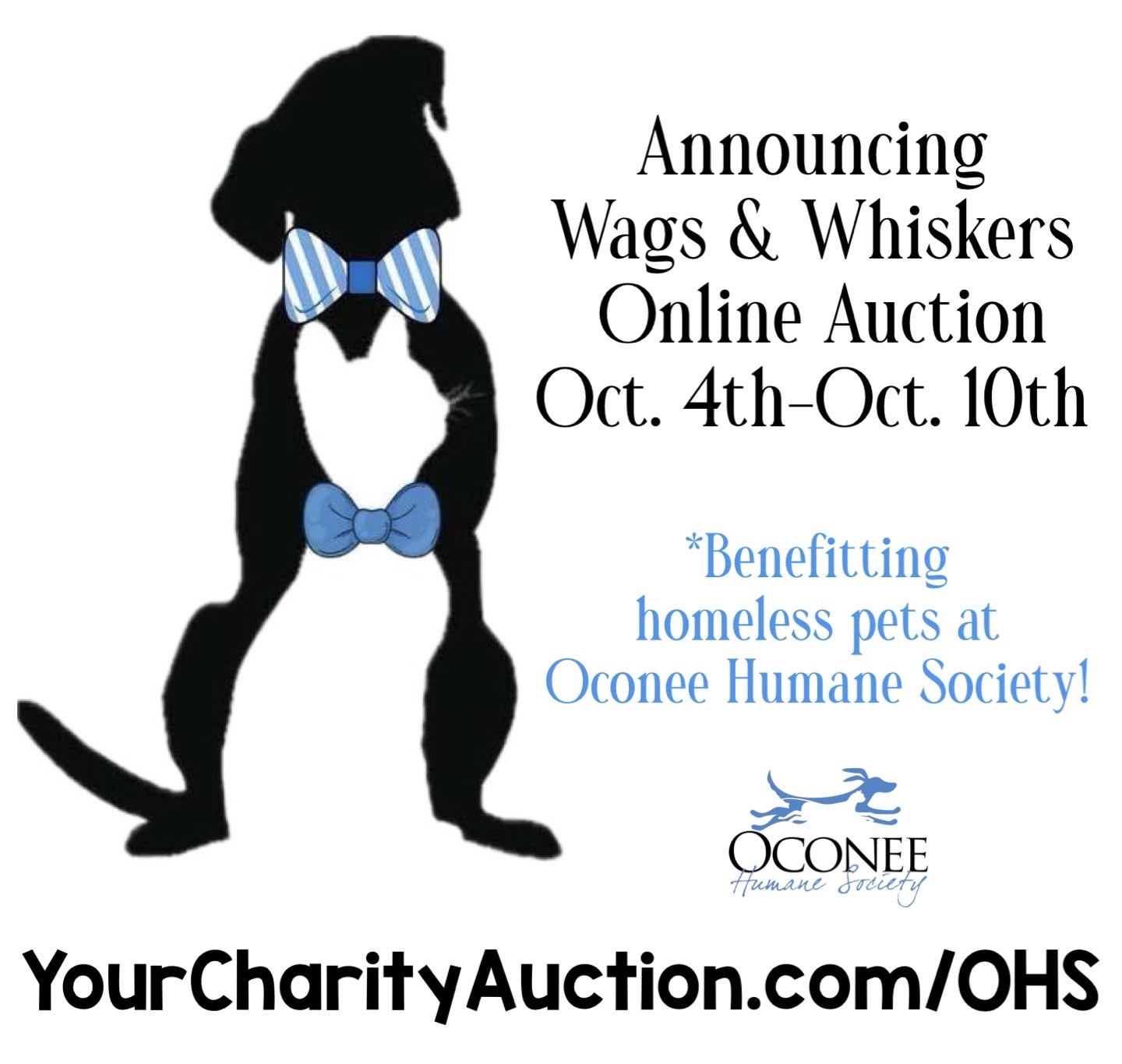 Wags & Whiskers Online Auction - Oct 4-10, 2024