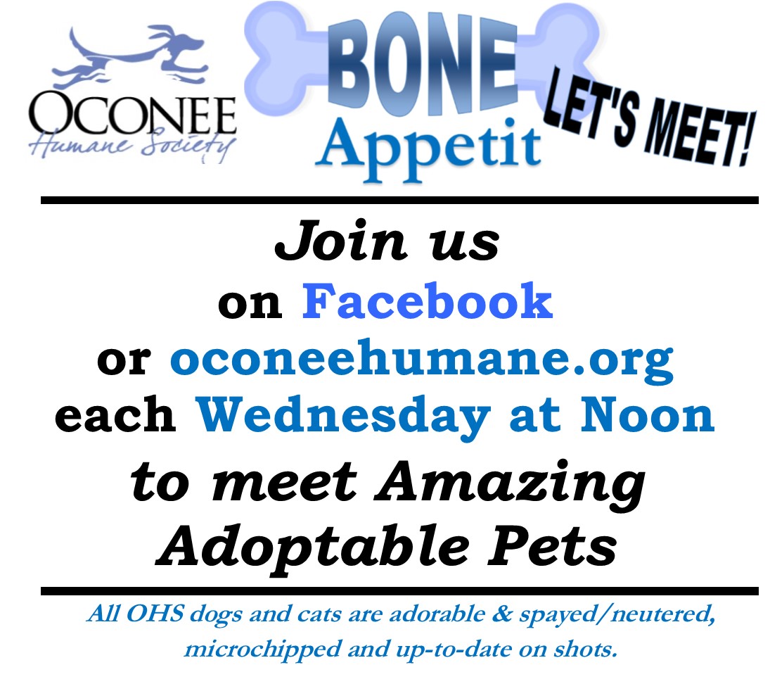 Bone Appetit - Facebook live event by OHS