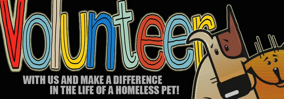 volunteer at Oconee Humane Society